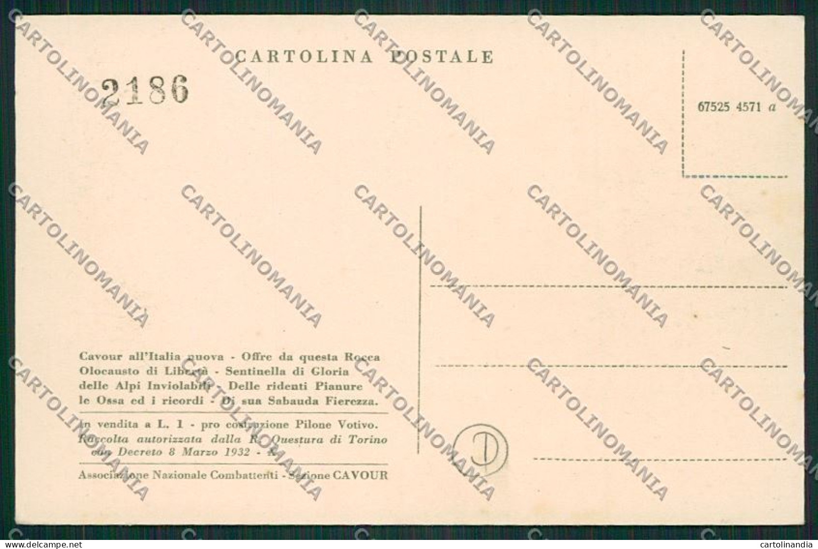 Torino Cavour Cartolina QK1392 - Altri & Non Classificati
