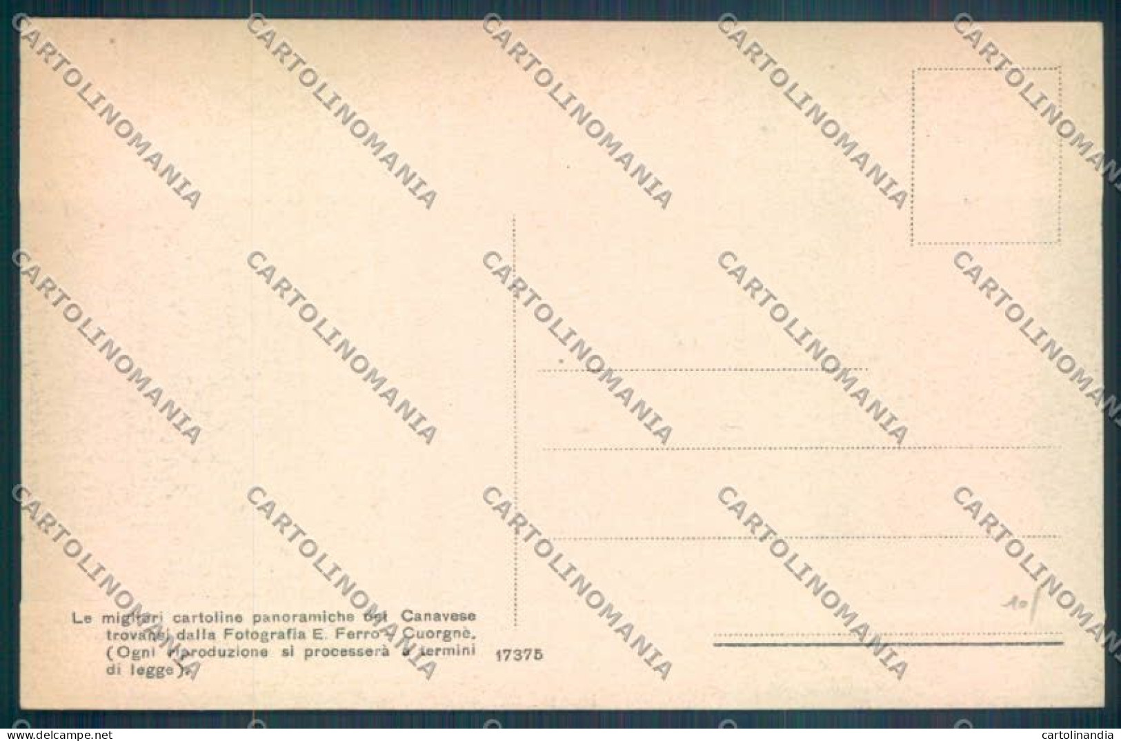 Torino Vico Canavese Cartolina ZT1617 - Altri & Non Classificati