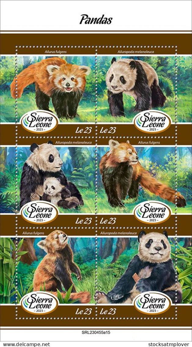 Sierra Leone 2023 Panda Bears S202403 - Sierra Leone (1961-...)