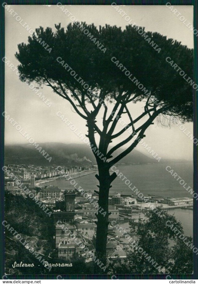 Salerno Città Foto FG Cartolina KB4166 - Salerno