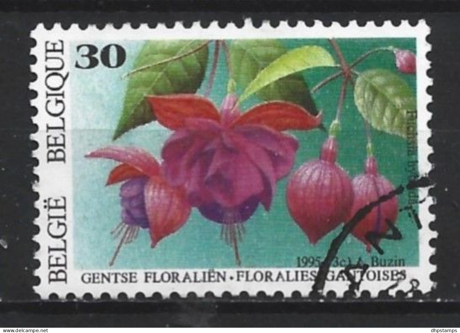 Belgie 1995 Flower Y.T. 2591  (0) - Usados