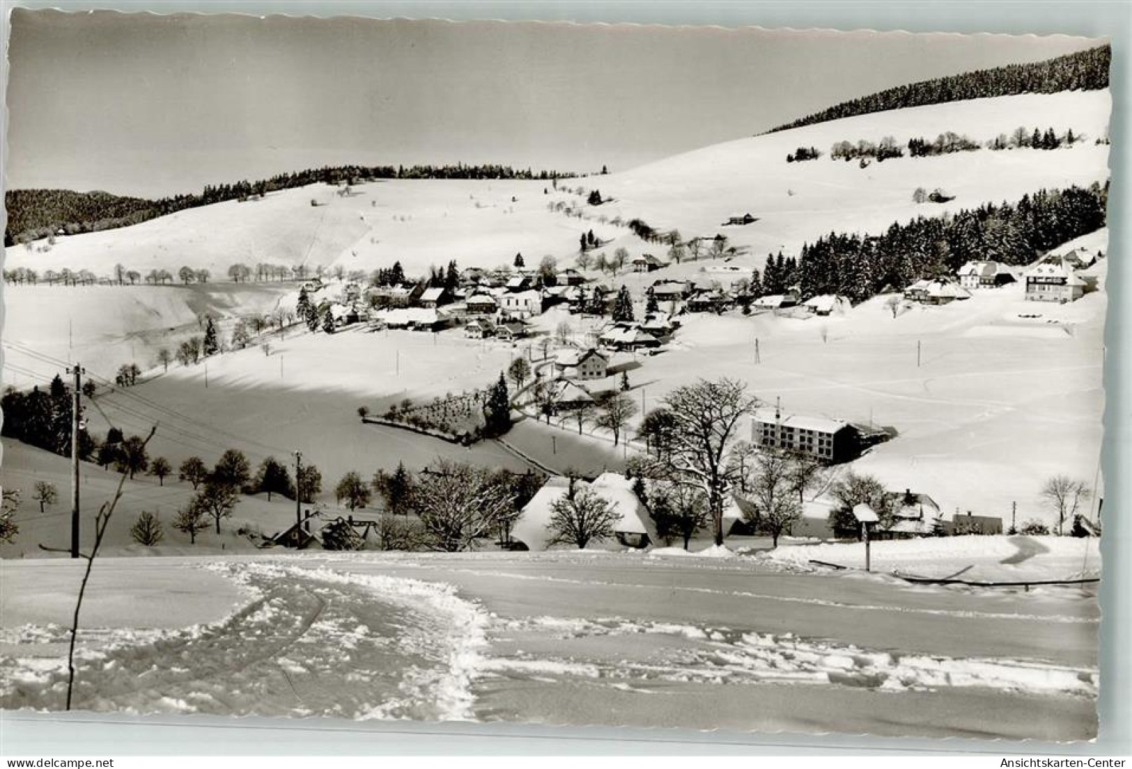 39859604 - Todtnauberg - Todtnau