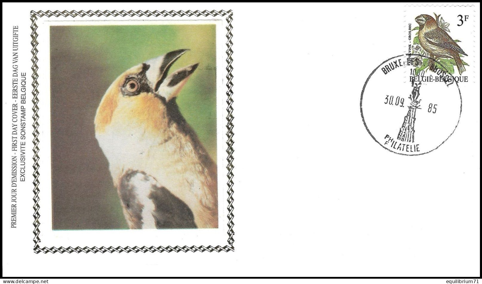 FDC Soie° - Grosbec Casse-noyaux / Appelvink / Kembeisser / Hawfinch - BXL-BSL - 30-09-1985 - BUZIN - 1985-.. Oiseaux (Buzin)