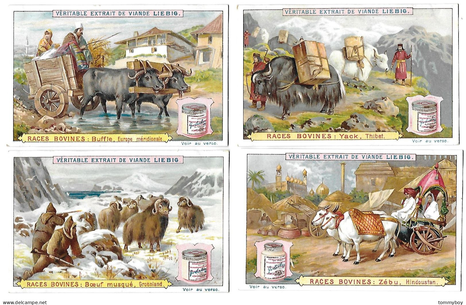 S 503, Liebig 6 Cards, Races Bovines - Liebig