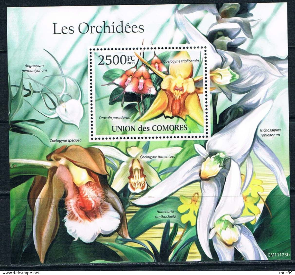 Bloc Sheet Fleurs Orchidées Flowers Orchids  Neuf  MNH ** Comores Comoros 2011 - Orchideen