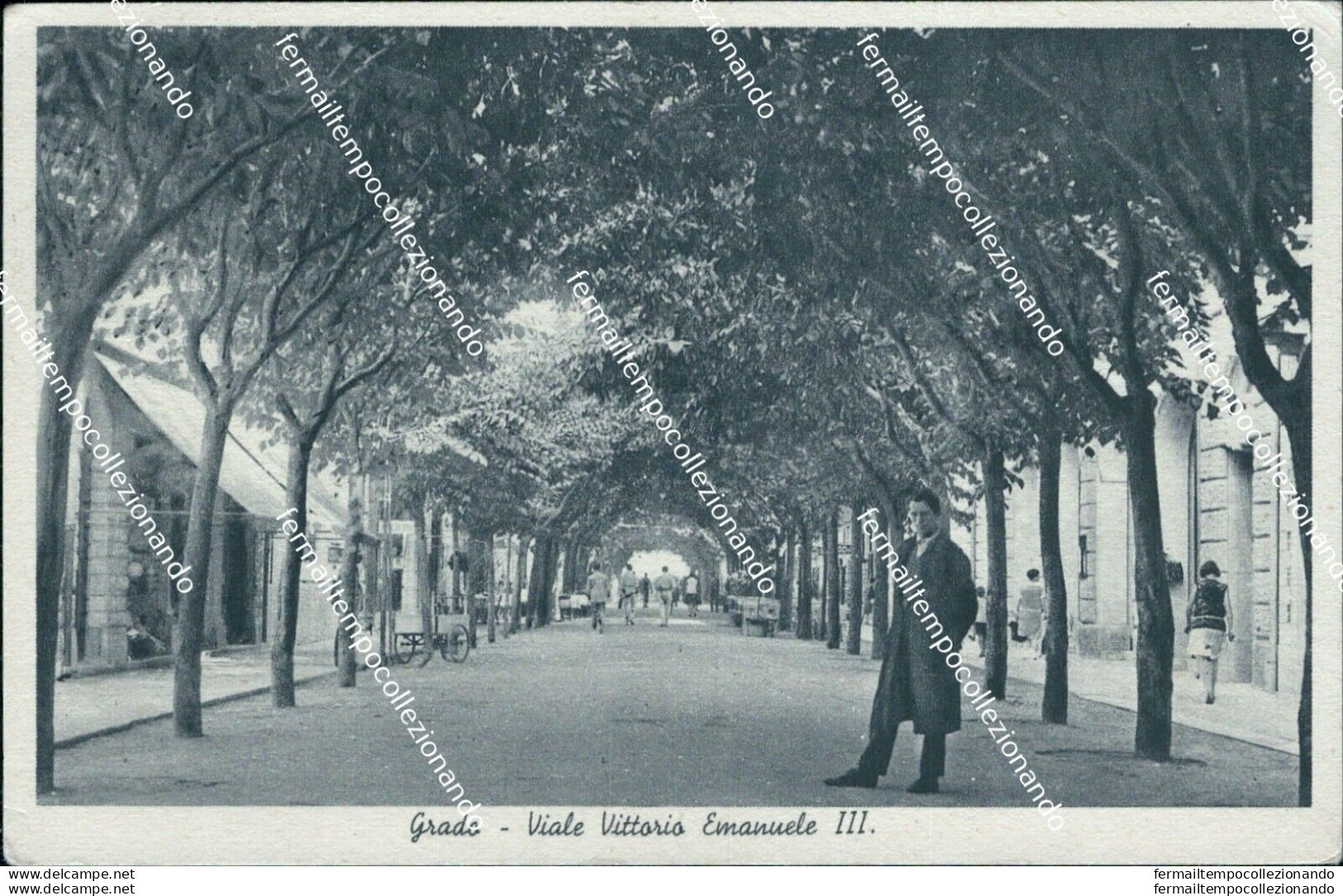 Cm354 Cartolina Grado Viale Vittorio Emanuele III Provincia Di Gorizia Friuli - Gorizia