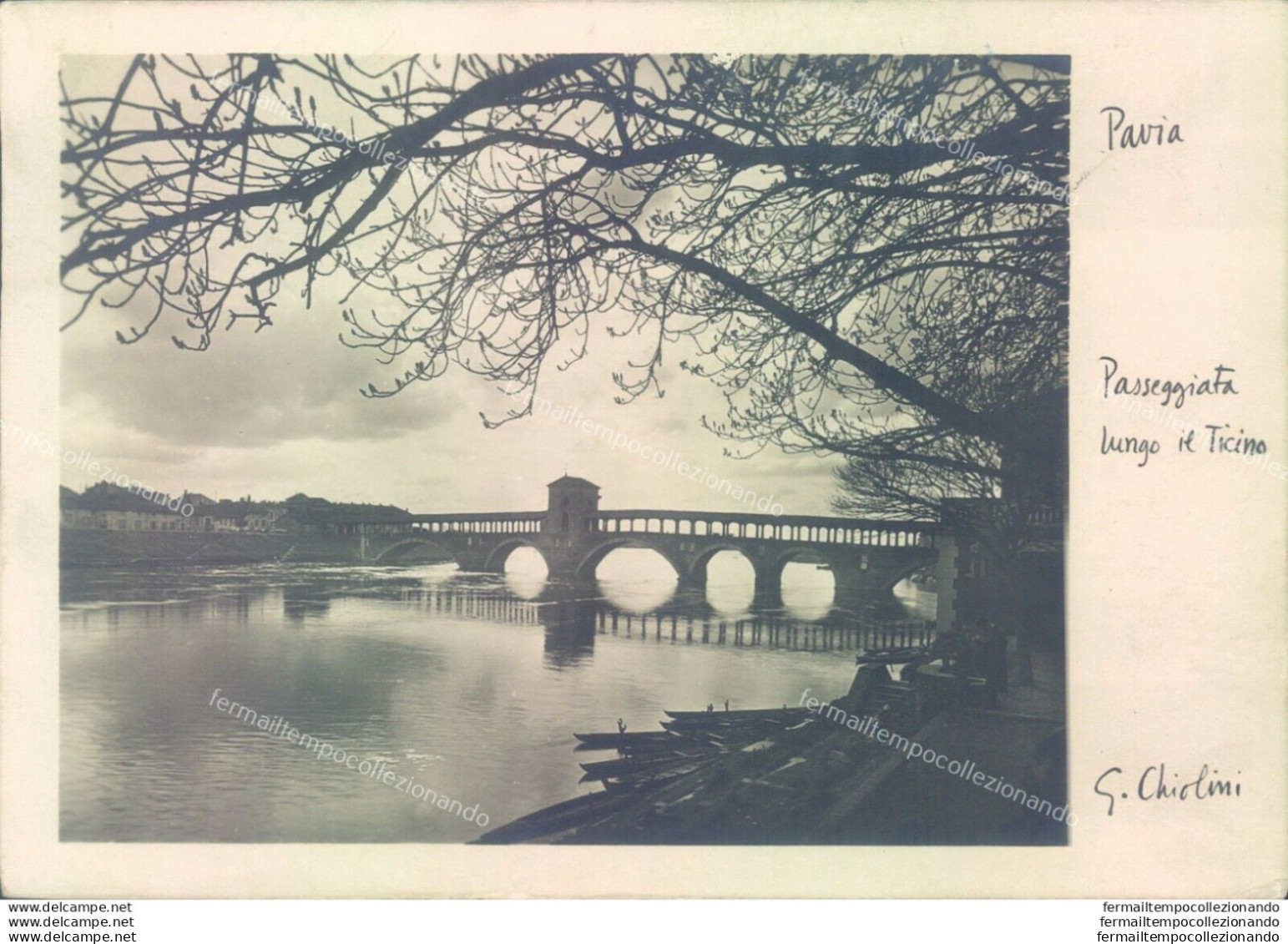 M15 Cartolina Pavia Passeggiata Lungo Il Ticino 1942 - Pavia