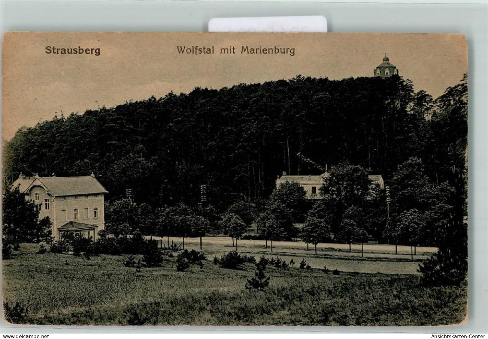 39144904 - Strausberg - Strausberg