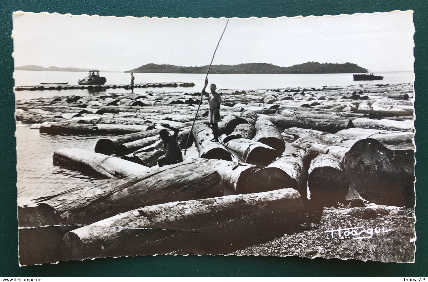 Parc à Bois D'Owendo, Ed Simarro, N° 57 - Gabon