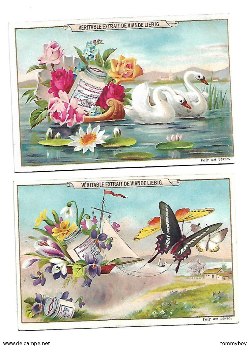 S 380, Liebig 6 Cards, Fleurs, Oiseaux Et Papillons - Liebig