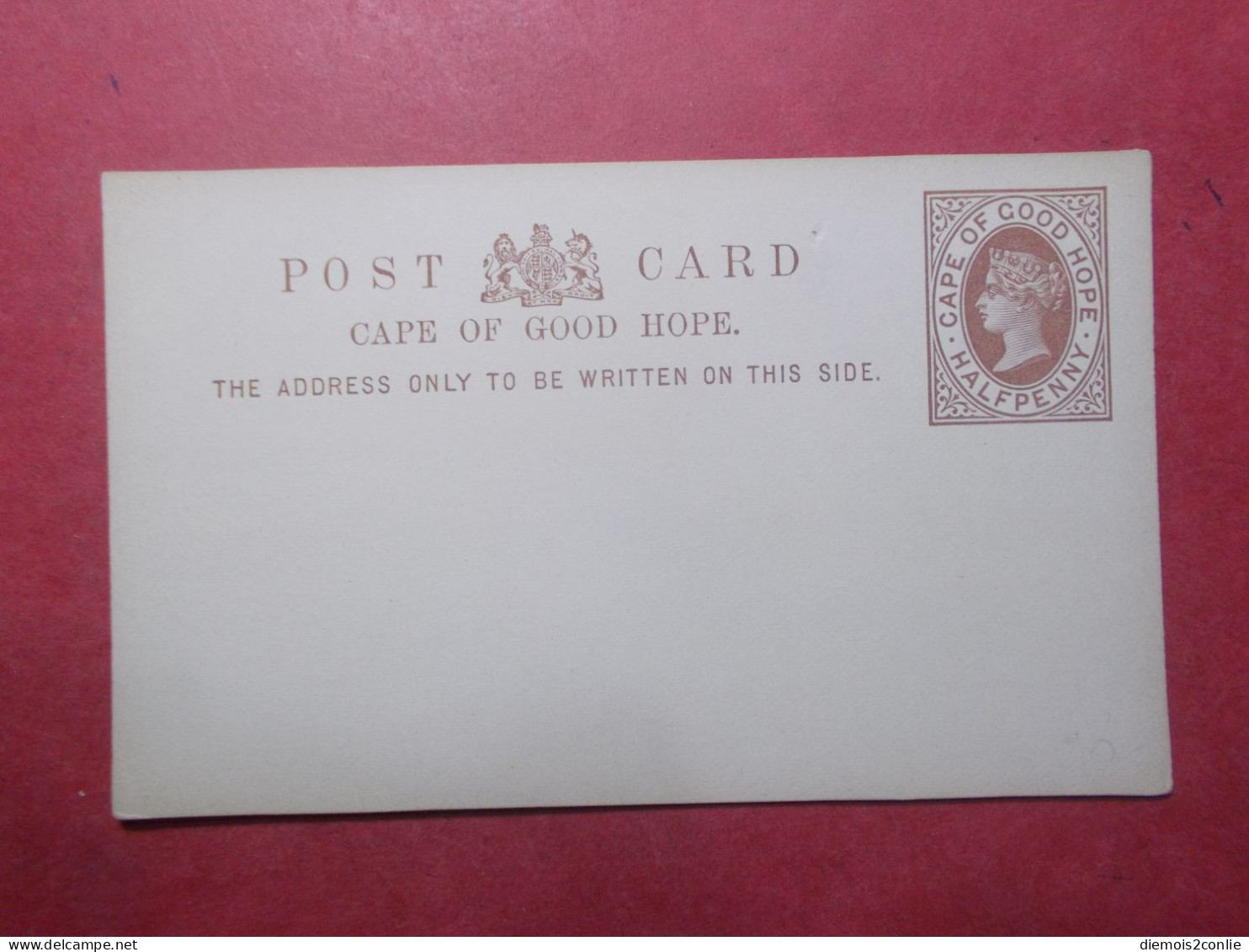 Marcophilie Carte Entier Postal CAP DE BONNE ESPERANCE Neuf (B308) - Cape Of Good Hope (1853-1904)