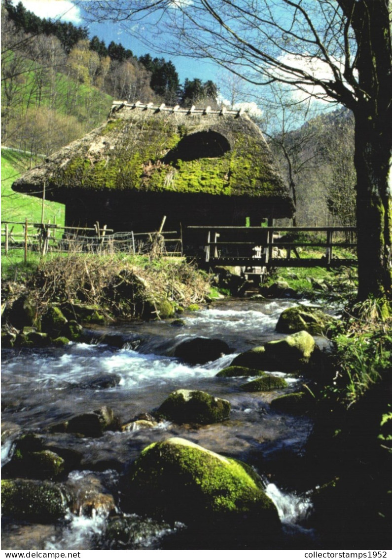 GLOTTERTAL, BADEN-WURTTEMBERG, MILL, ARCHITECTURE, BRIDGE, GERMANY POSTCARD - Glottertal