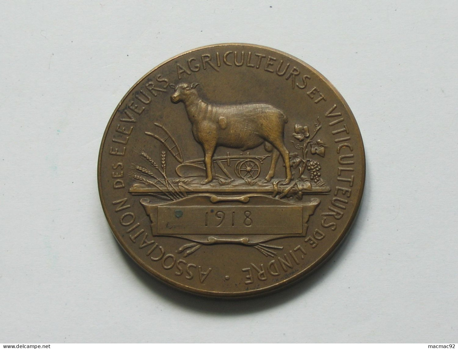 Médaille Association Des éleveurs Agriculteurs Et Viticulteurs De L'Indre 1918  **** EN ACHAT IMMEDIAT **** - Monarchia / Nobiltà