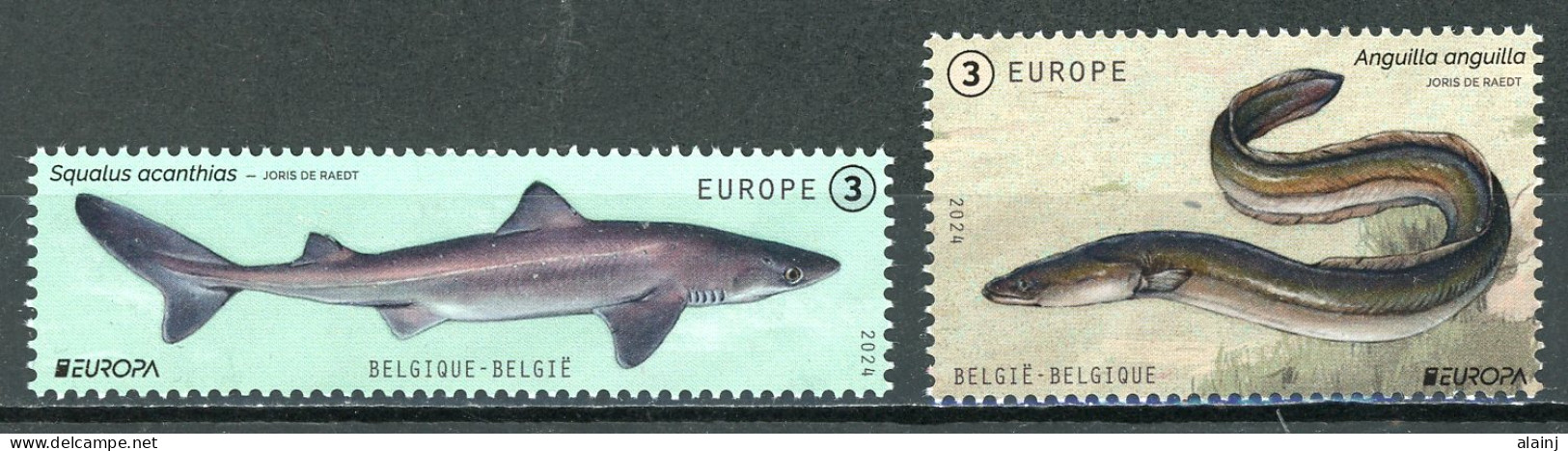 BE   5218 - 5219   XX    2024  ---   Europa : Vie Sous-marine Menacée   --  Timbres Du Bloc BL329 - Nuovi