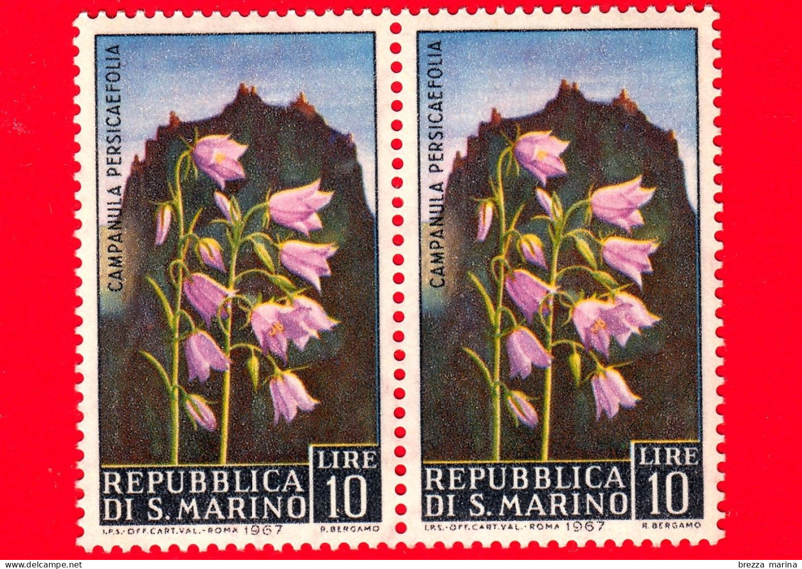 Nuovo - MNH - SAN MARINO - 1967 - Fiori - 3ª Emissione - Campanula Persicaefolia - 10 - Neufs