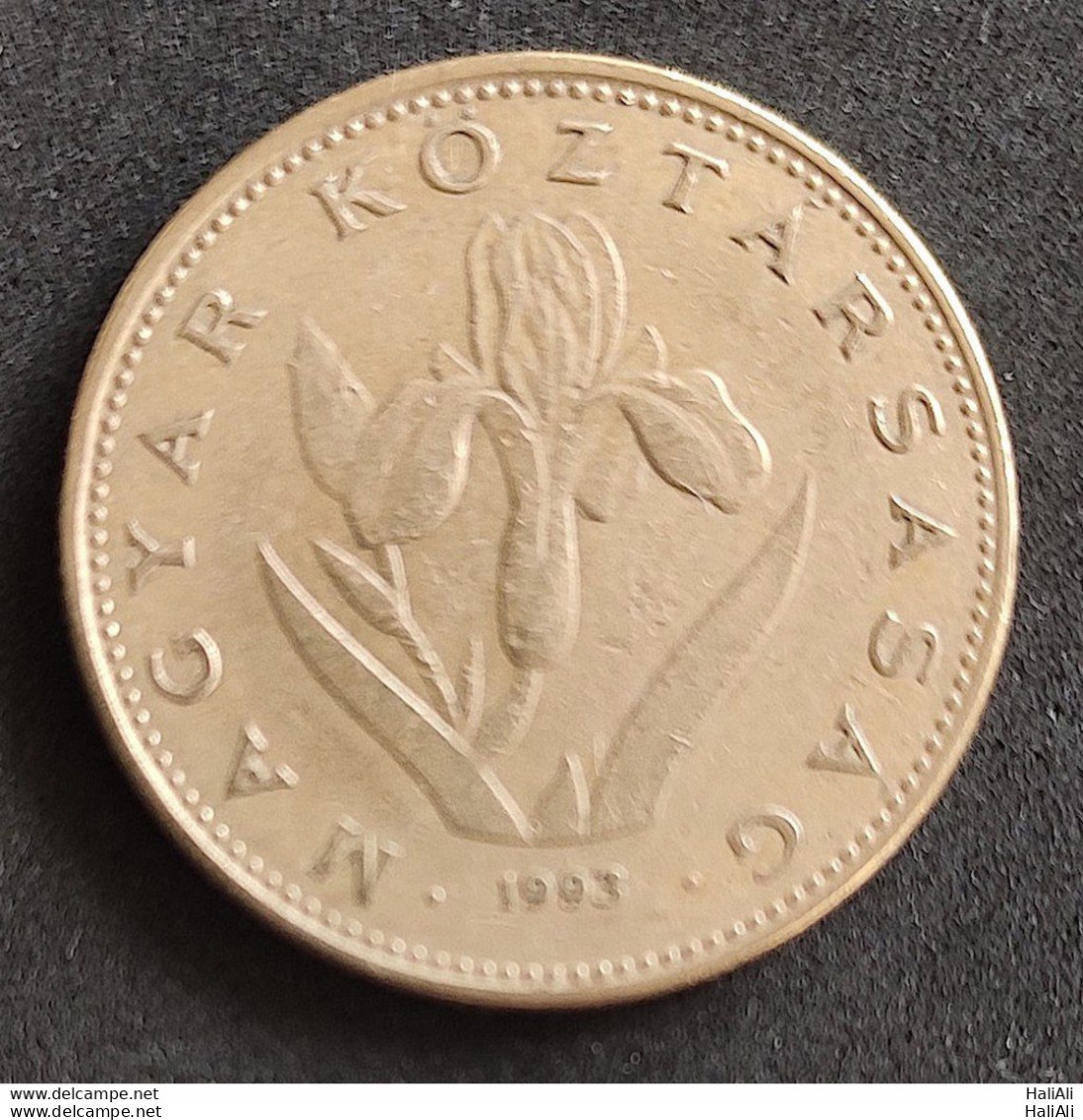 Coin Hungary 1993 20 Forint 1 - Hungría