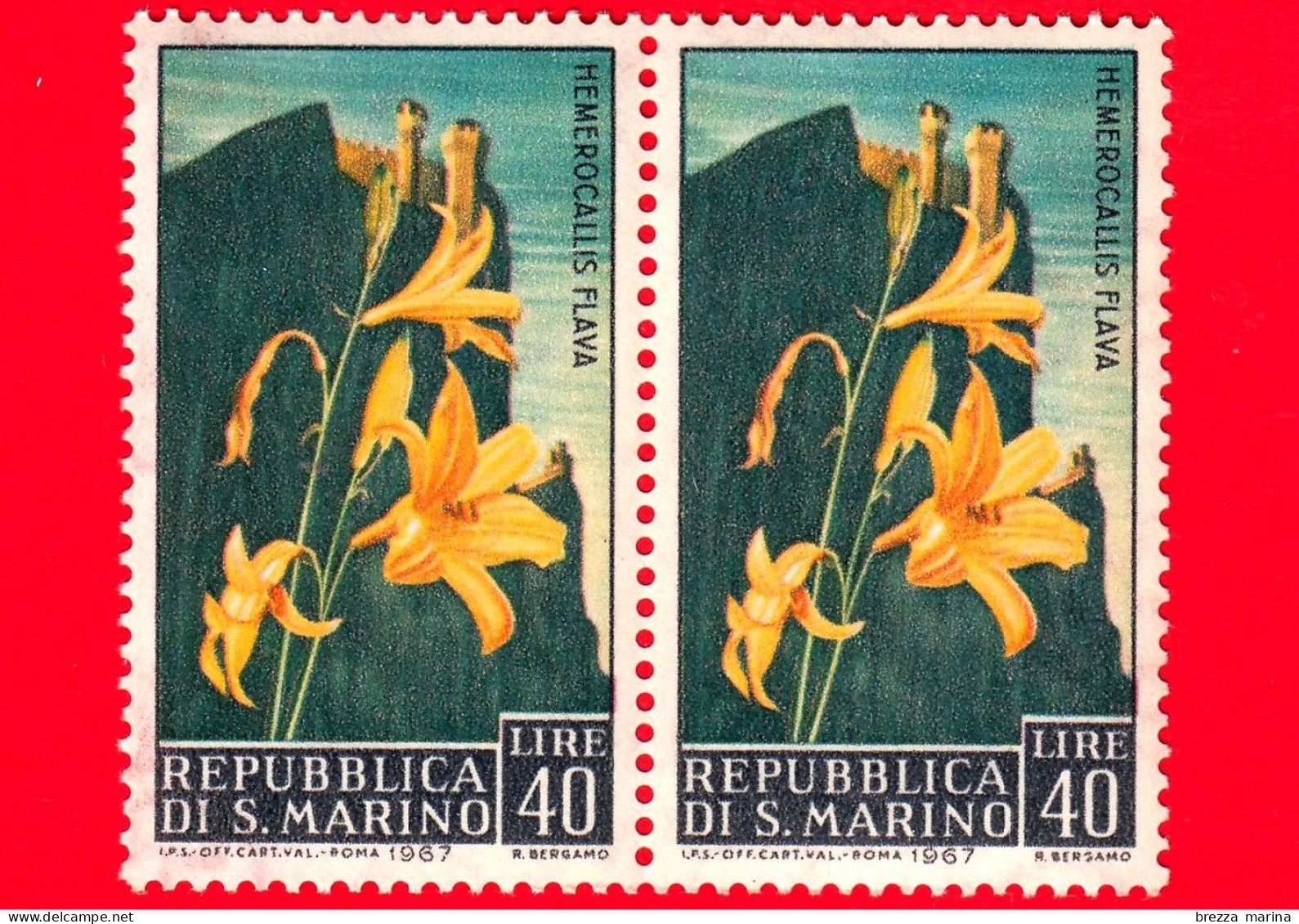 Nuovo - MNH - SAN MARINO - 1967 - Fiori - 3ª Emissione - Hemerocallis Flava - 40 - Unused Stamps