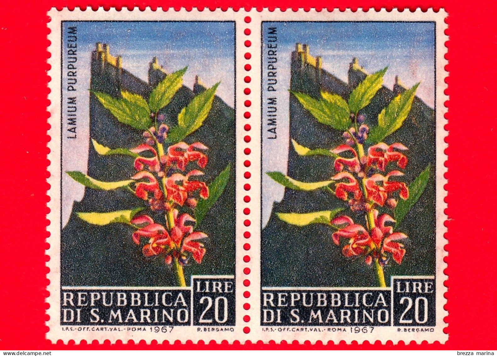 Nuovo - MNH - SAN MARINO - 1967 - Fiori - 3ª Emissione - Lamium Purpureum - 20 - Nuovi