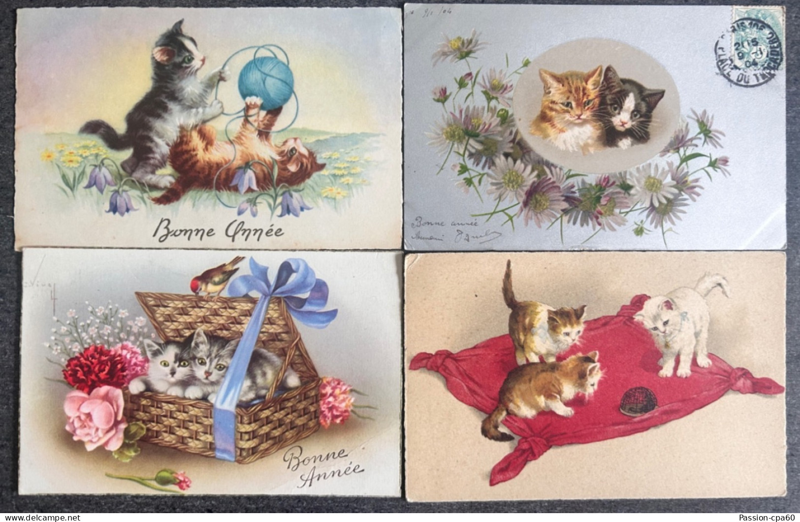 Lot De 20 Cartes Postales Anciennes . CHATS. - Cats