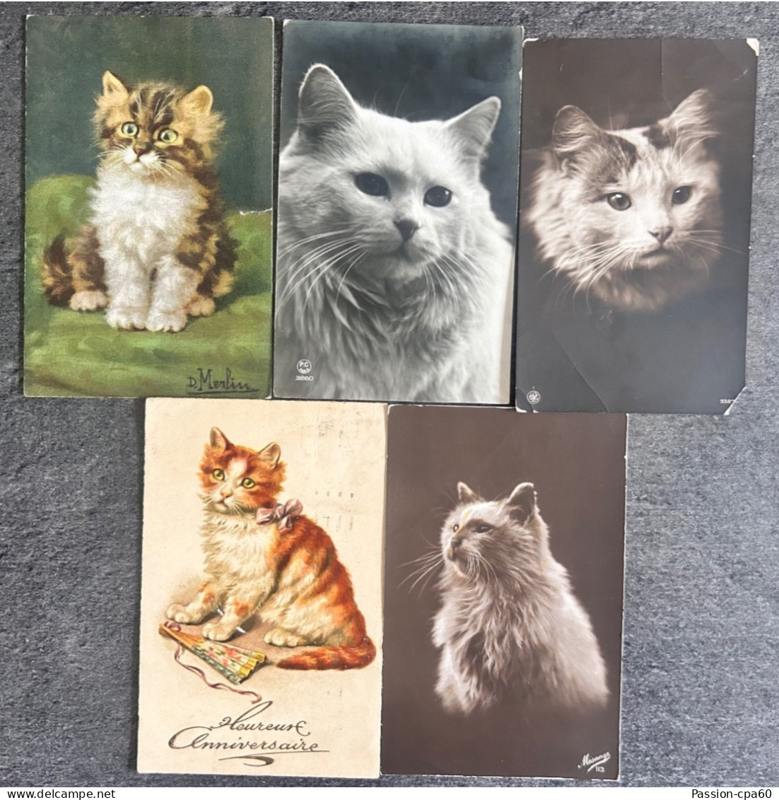 Lot De 20 Cartes Postales Anciennes . CHATS. - Cats