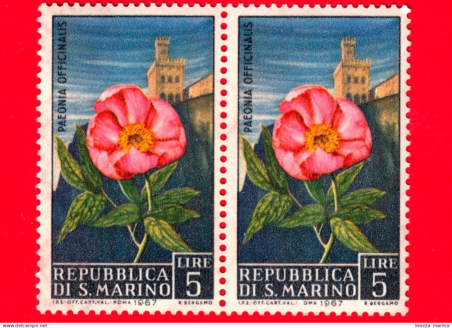 Nuovo - MNH - SAN MARINO - 1967 - Fiori - 3ª Emissione - Paeonia Officinalis - 5 - Nuevos