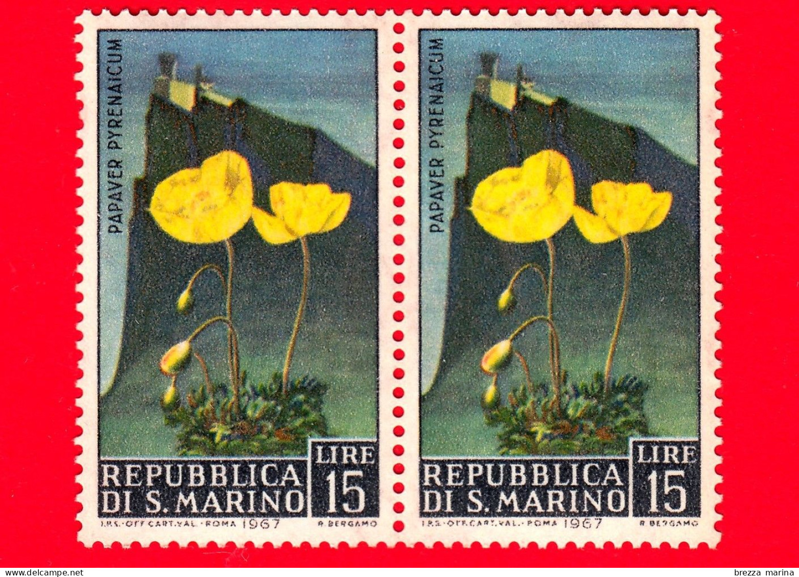 Nuovo - MNH - SAN MARINO - 1967 - Fiori - 3ª Emissione - Papaver Pyrenaicum - 15 - Ungebraucht