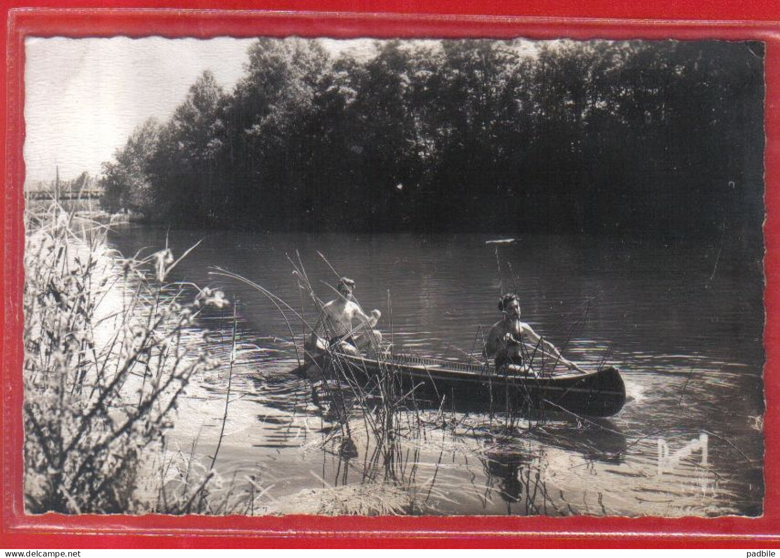 Carte Postale 77. Vaires-sur-Marne  Canotage Sur La Marne  Très Beau Plan - Vaires Sur Marne