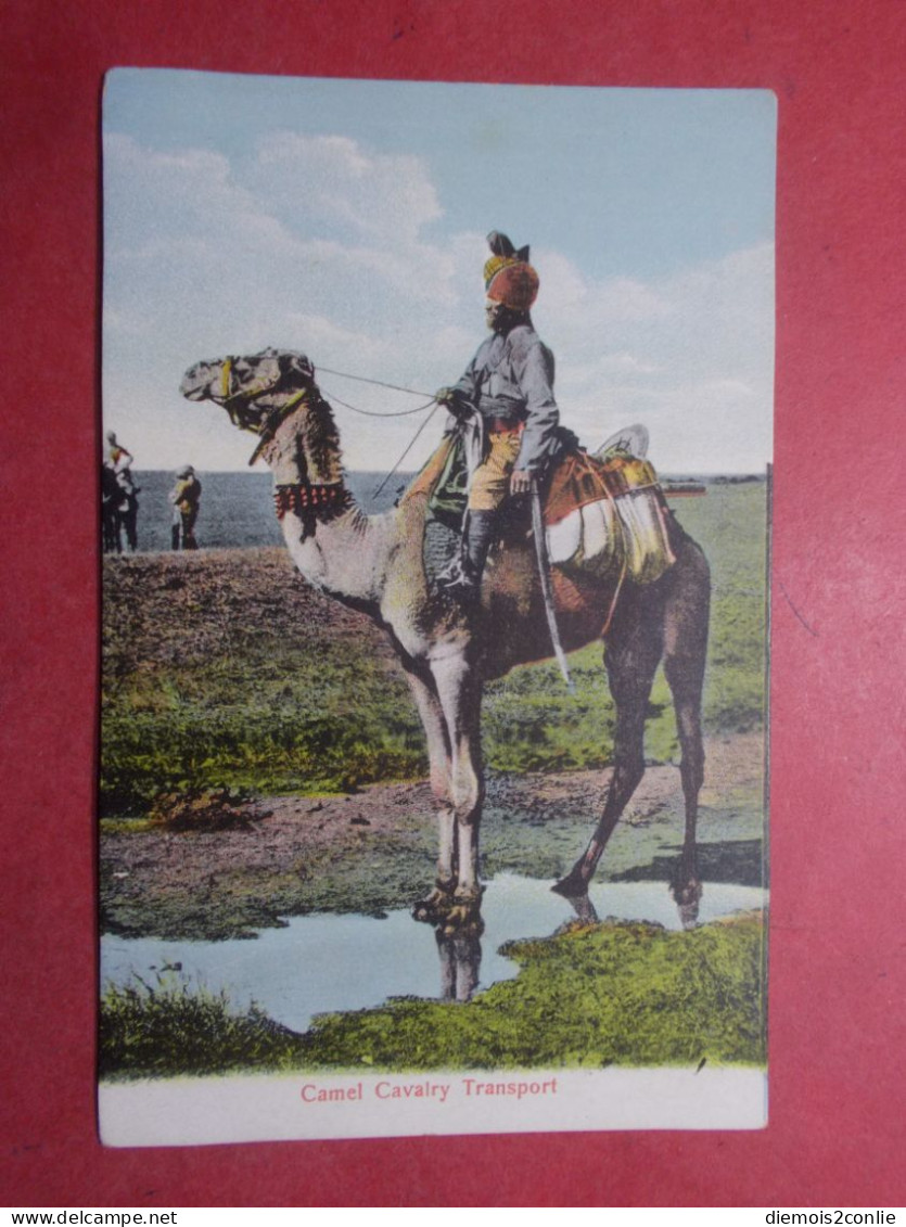 Carte Postale CPA - Camel Cavalry Transport -  (B318) - Altri & Non Classificati