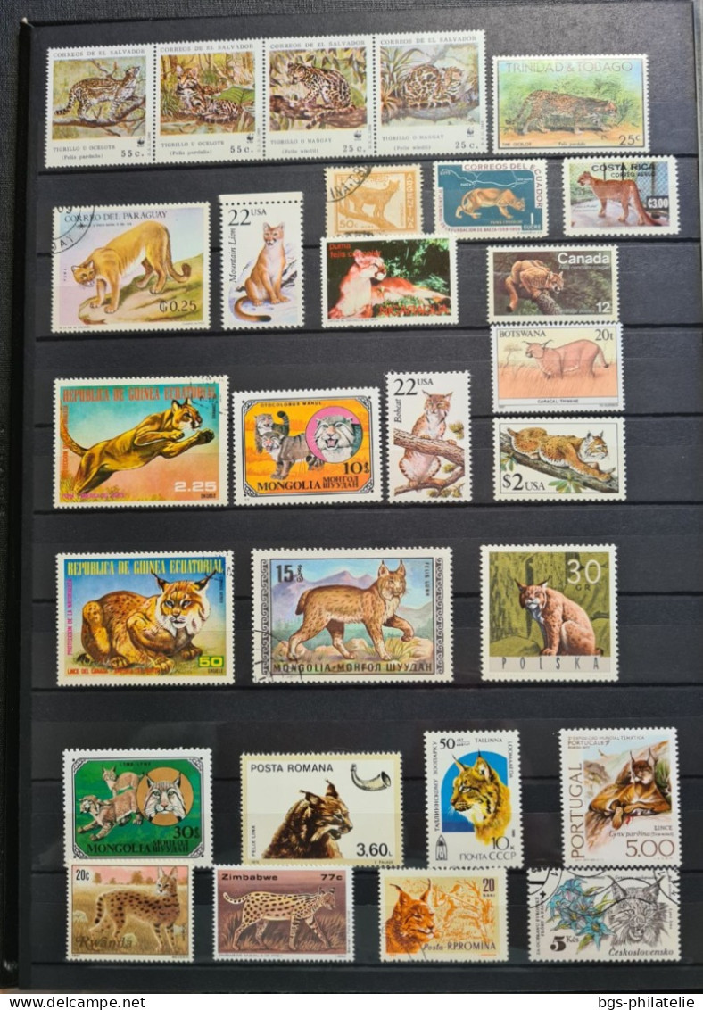 Collection De Timbres Sur Le Thème Des Animaux. - Collezioni (senza Album)