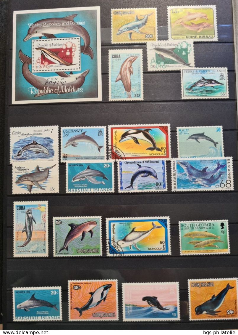 Collection De Timbres Sur Le Thème Des Animaux Marins. - Collezioni (senza Album)