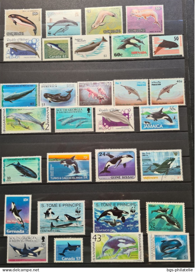 Collection de timbres sur le thème des Animaux Marins.