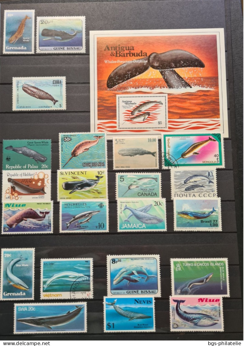 Collection de timbres sur le thème des Animaux Marins.