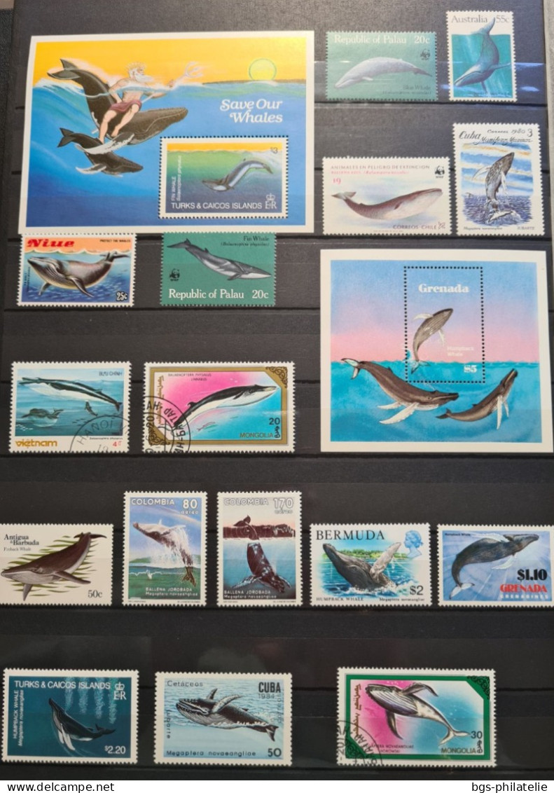 Collection de timbres sur le thème des Animaux Marins.