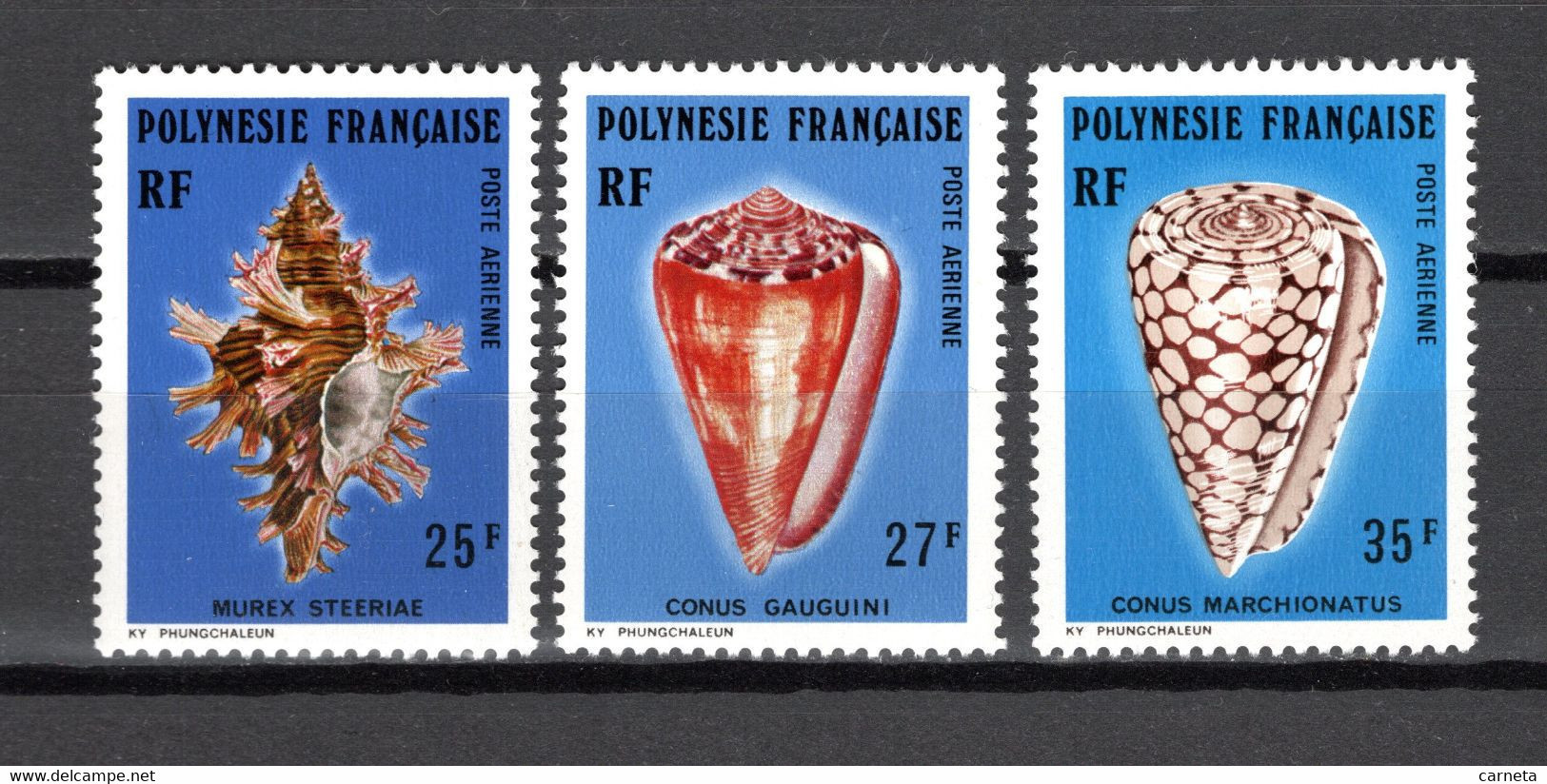 POLYNESIE  PA  N° 114 à 116    NEUFS SANS CHARNIERE COTE  9.90€     COQUILLAGE  ANIMAUX - Unused Stamps