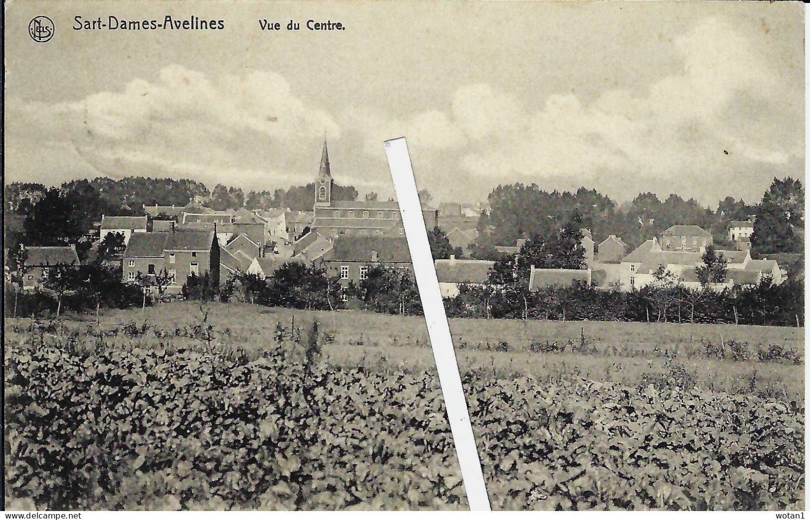 SART-DAMES-AVELINES - Vue Du Centre (Ligne Blanche Fictive) - Villers-la-Ville