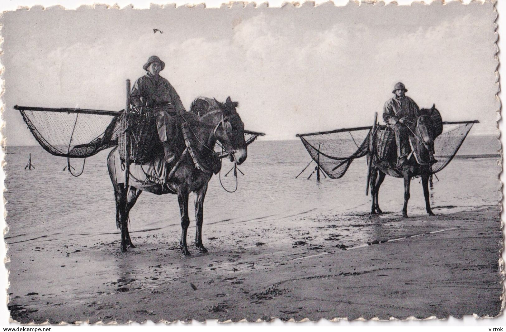 Koksijde - Coxyde :  Garnalenvisse - Pecheur De Crevettes   (  Met Zegel - Avec Timbre ) - Koksijde