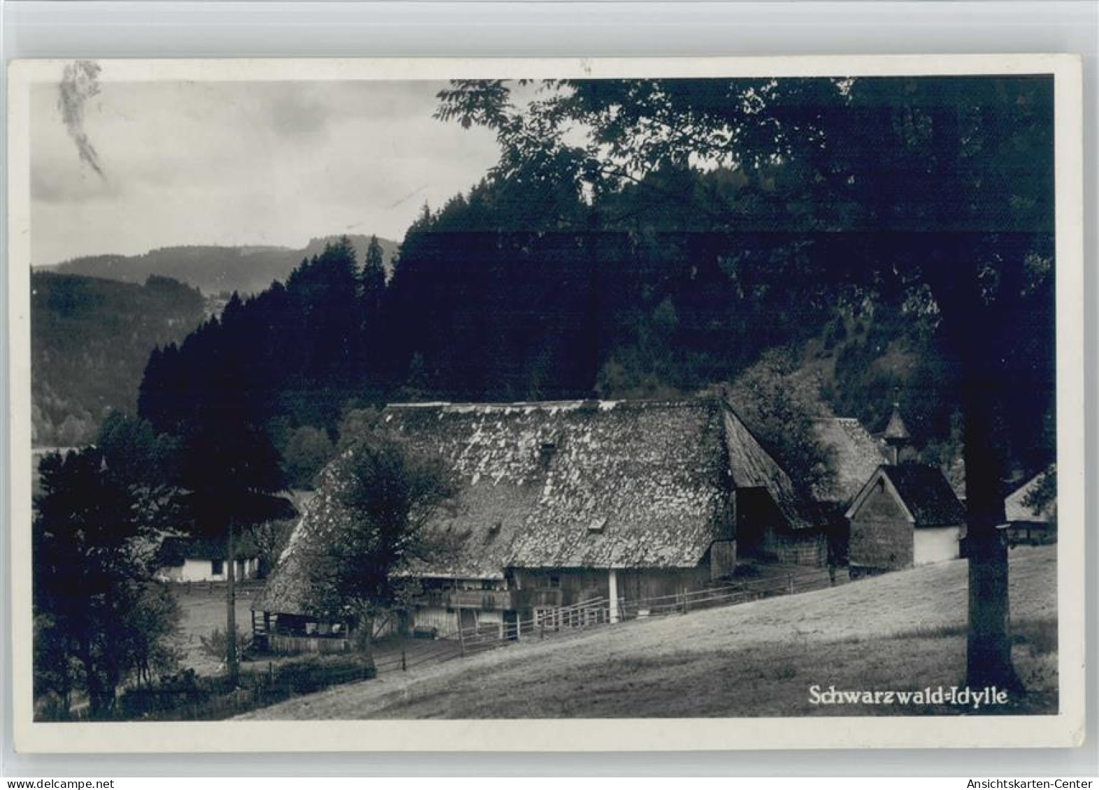 10047704 - Schwarzwald-Schwarzwald Haeuser Foto AK - Hochschwarzwald