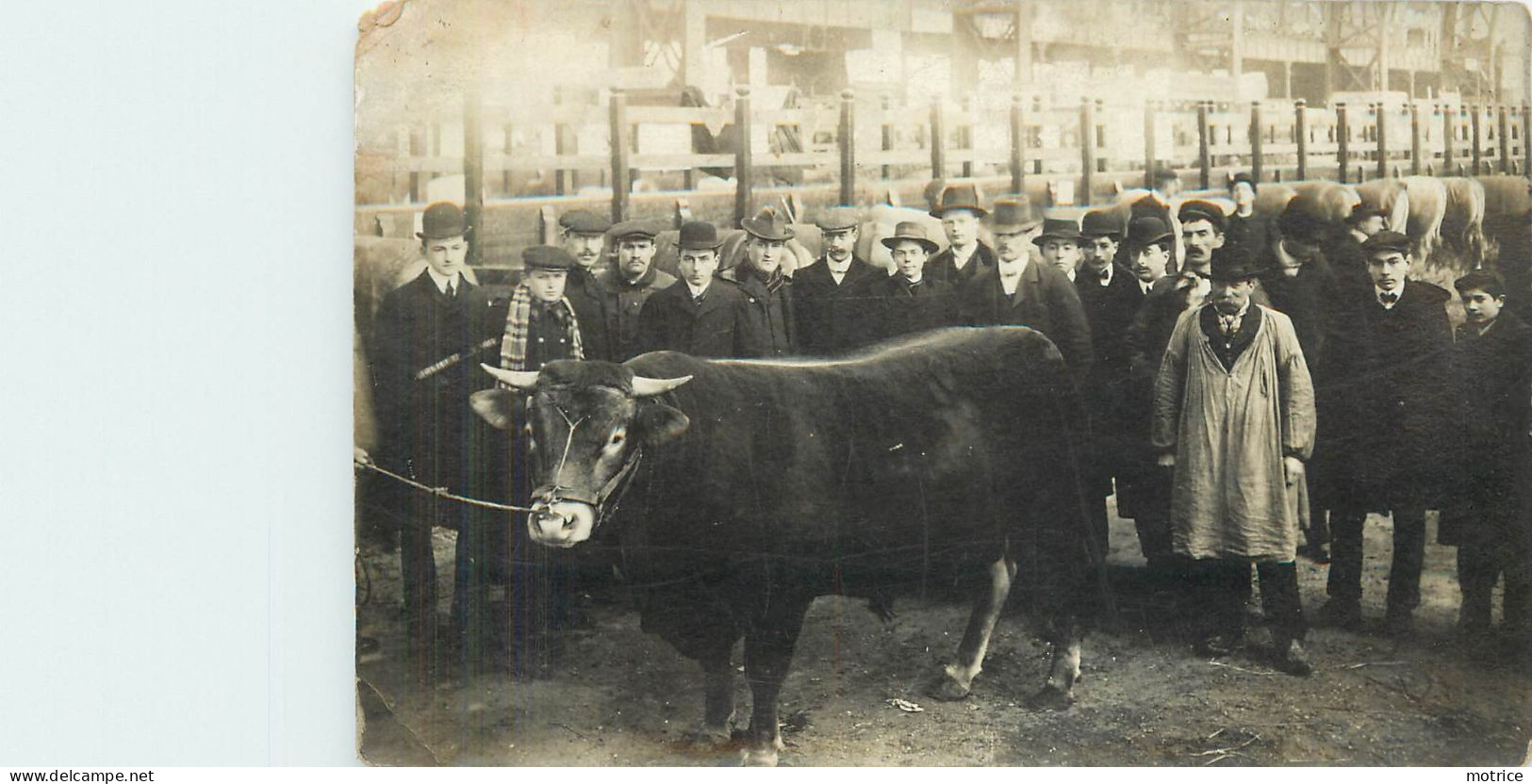 CARTE PHOTO -  Concours Agricole En 1905. (Paris?) - Campesinos