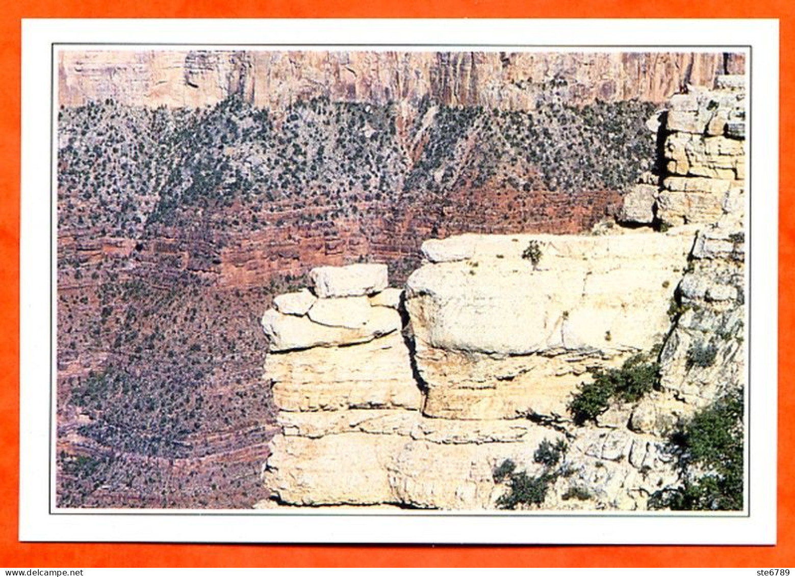 ETATS UNIS  USA  Grand Canyon De L'Arizona - Aardrijkskunde