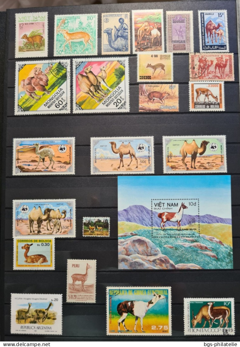 Collection De Timbres Sur Le Thème Des Animaux. - Collections (sans Albums)