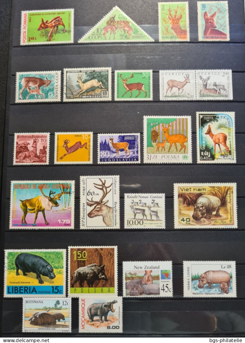 Collection De Timbres Sur Le Thème Des Animaux. - Collections (without Album)