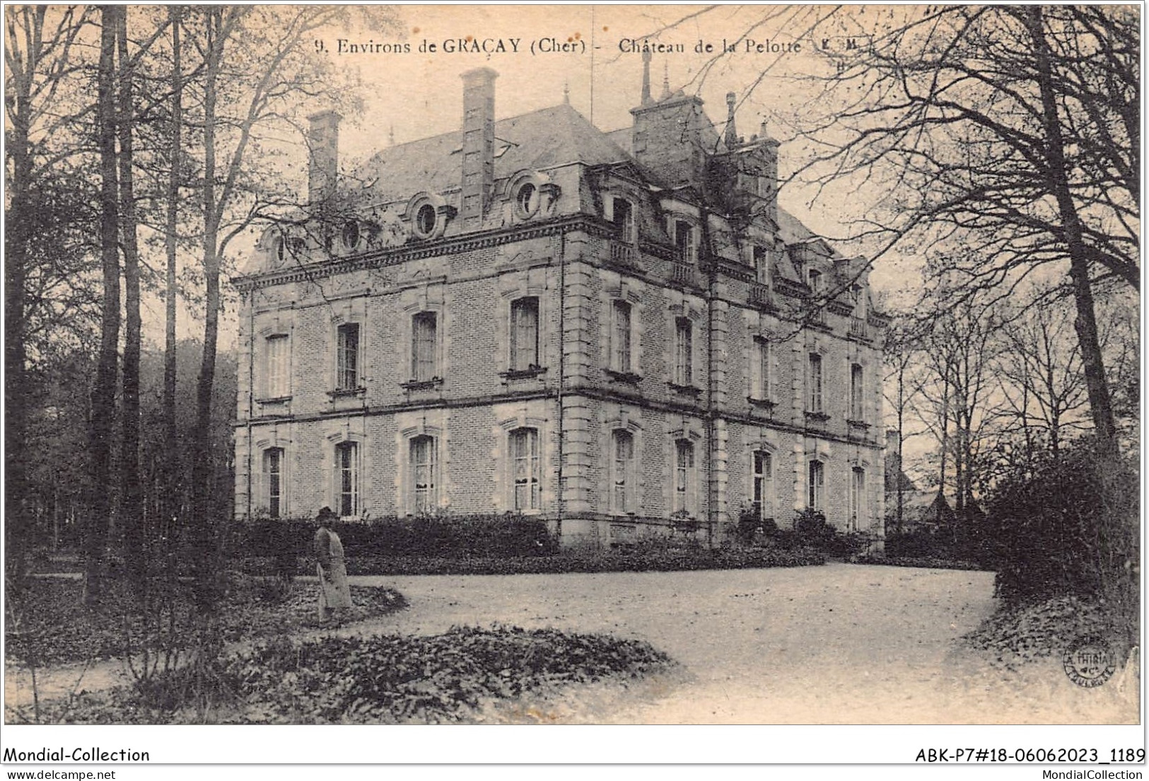 ABKP7-18-0596 - GRACAY - Chateau De La Peloue - Graçay