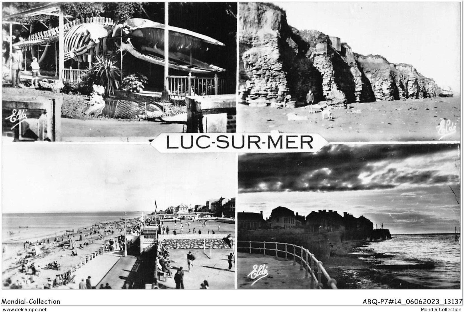 ABQP7-14-0569 - LUC-SUR-MER - Les FALAISE - La Baleine Au Jardin Public  - Luc Sur Mer