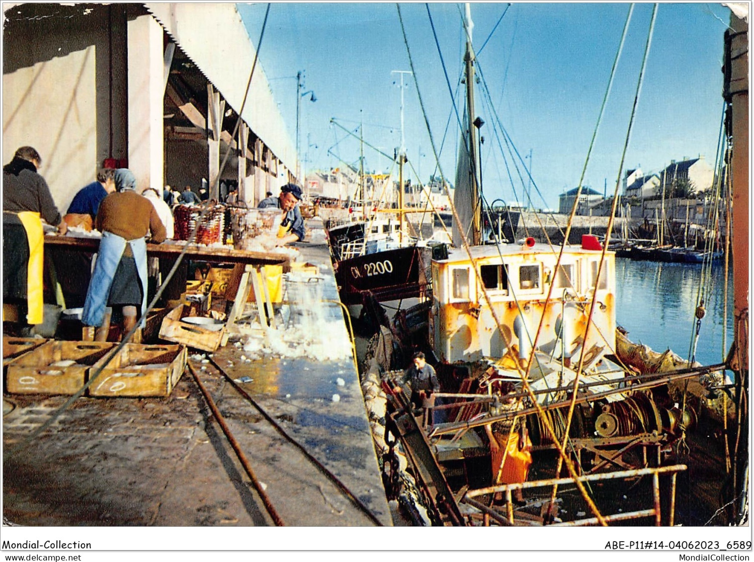 ABEP11-14-0986 - PORT-EN-BESSIN - Tri Du Poisson - Port-en-Bessin-Huppain