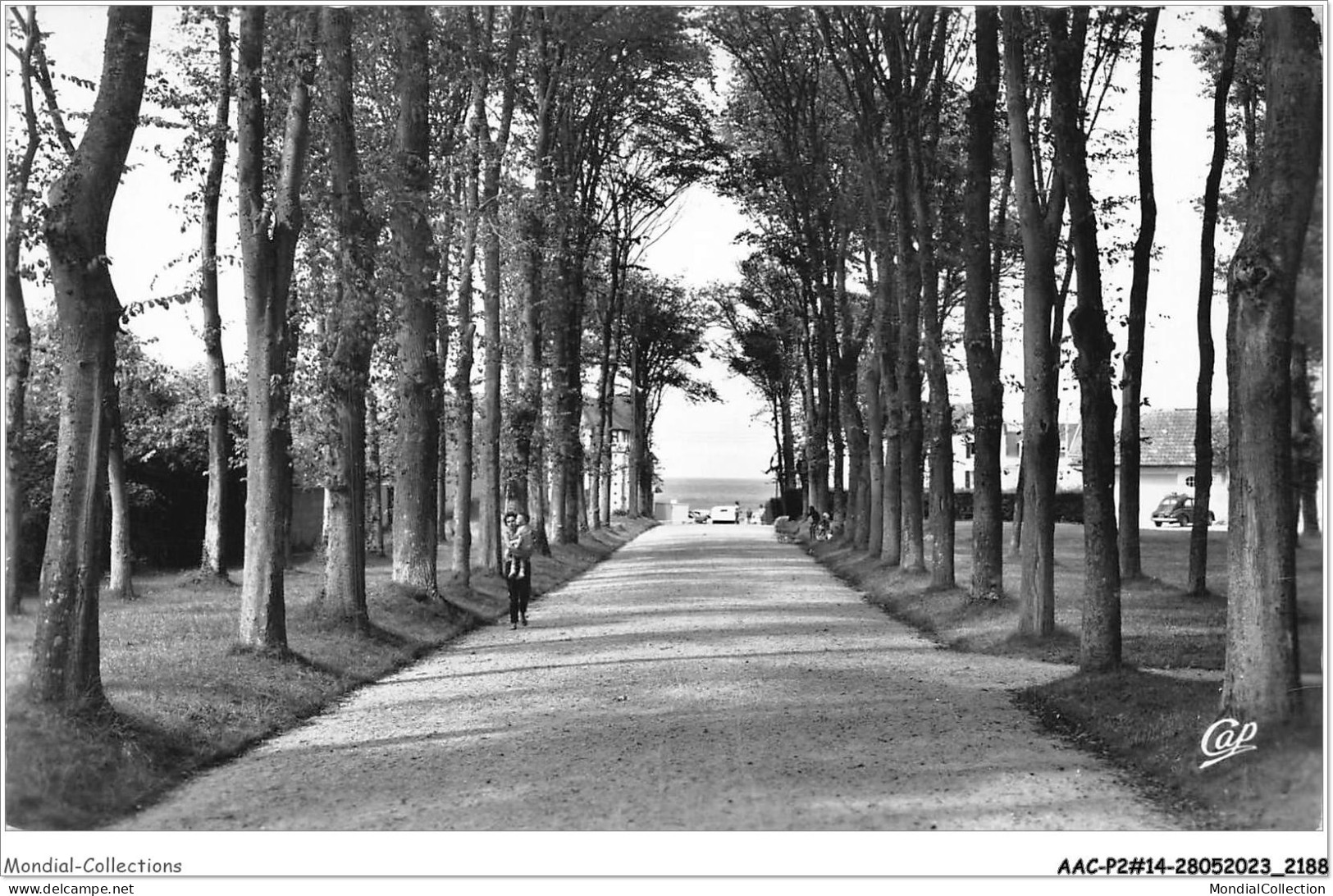 AACP2-14-0176 - SAINT-AUBIN-SUR-MER - L'Allee Du Parc Et La Mer  - Saint Aubin