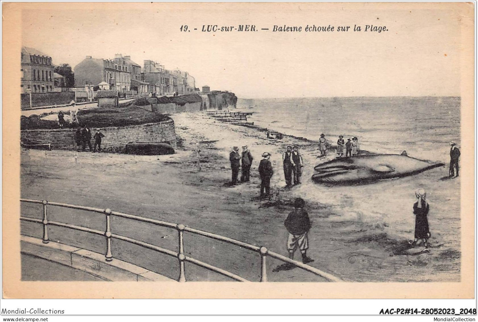 AACP2-14-0106 - LUC-SUR-MER - Baleine Echouee Sur La Plage - Luc Sur Mer