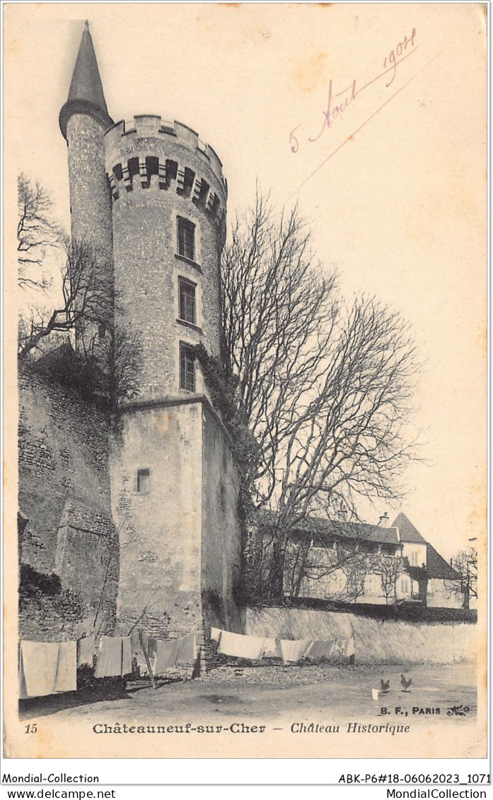 ABKP6-18-0537 - CHATEAUNEUF-SUR-MER - Le Chateau Historique - Chateauneuf Sur Cher