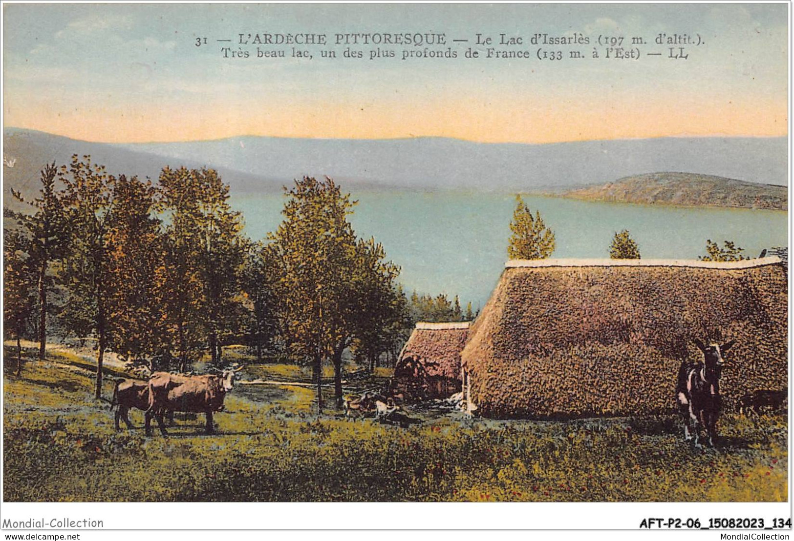 AFTP2-07-0168 - Les Hautes Cévénnes - Le Lac D'issarles  - Largentiere