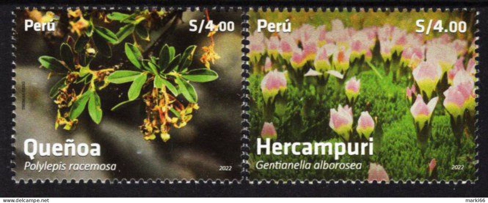 Peru - 2022 - Flora - Medicinal Plants - Polylepis Racemosa And Gentianella Alborosea - Mint Stamp Set - Peru