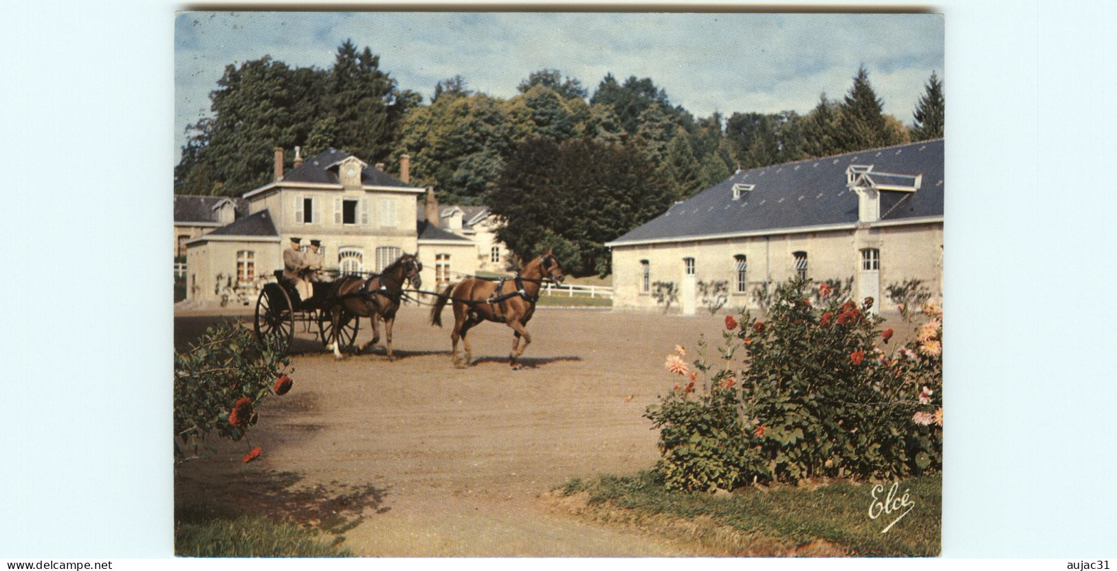 Dép 19 - Hippisme - Chevaux - Arnac Pompadour - Haras National - Attelage En Tendem Au Puy Marmont - état - Arnac Pompadour